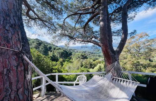 Gli Alisei - Elba Affitti - Foto 1