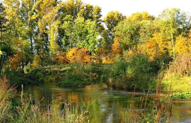 Holiday Apartment Alleblas - Foto 12