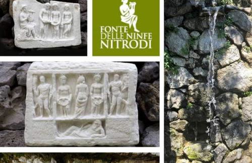 Il giardino - Foto 2