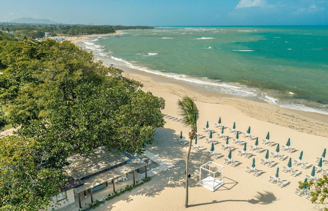 Tranquil Studio in Green One at Puerto Plata BA6 - Foto 8