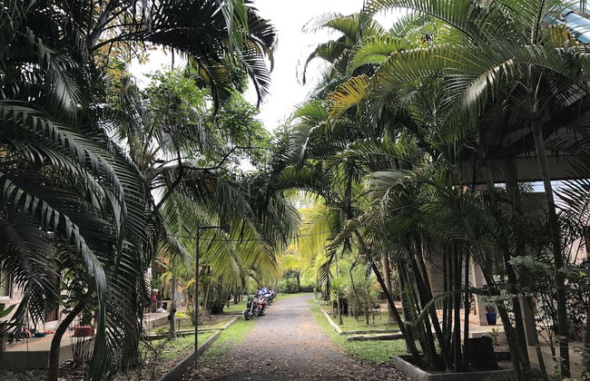 Coconut Bungalow - Foto 15