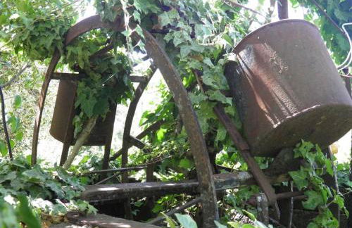 Atlantic Nest Poiares - Foto 16