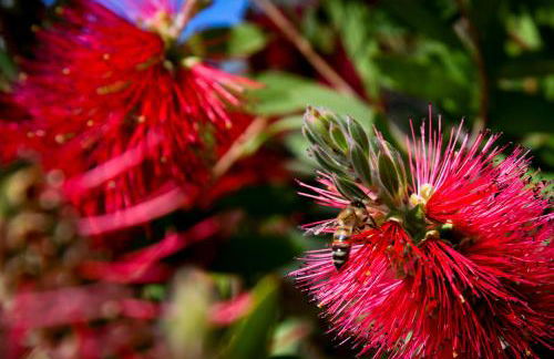 A 5 min à pied de la plage et 10 min du port, T2 vue mer avec vaste terrasse et parking privé - prestations haut de gamme - Foto 14