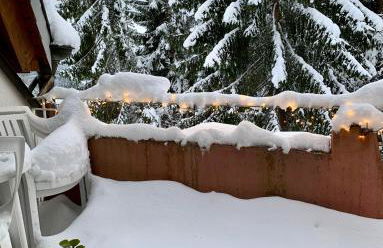 FeWo Fuchs Saig - Photo 41