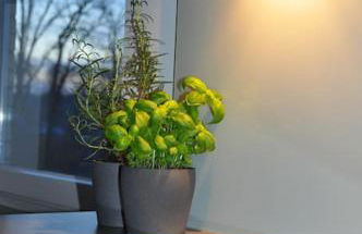 Alles am Fluss in Lüneburg - Foto 40