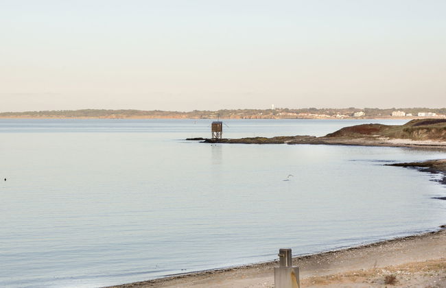 L'Oiseau Bleu - Foto 21