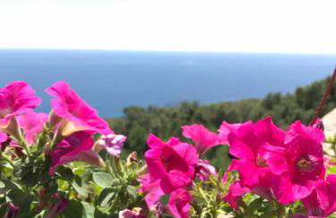 Il Terrazzo - Galatea casa vacanze - Foto 17