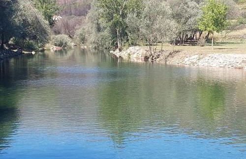 Lugar da Borralheira - Foto 31