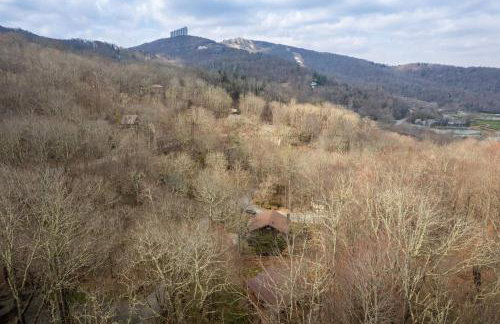 Sugar Mountain Cabin | Hot Tub! - Foto 35