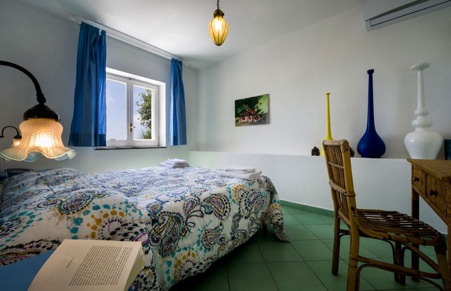 Fattoria Terranova - Foto 5