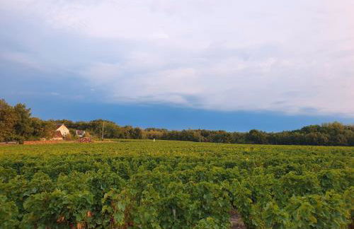 Spatieux, confort, reposant, gd jardin bucolique, jeux, balades, zoo, châteaux - Foto 38