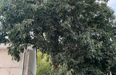 Didova kuća, Holiday home with Private pool near Rogoznica,Sleeps 9 - Foto 35