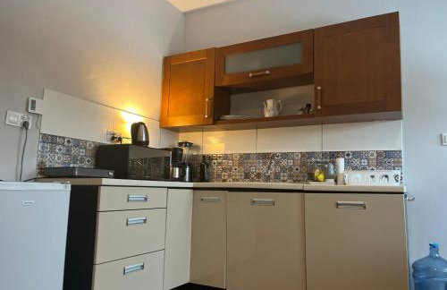 Apartament Leśna Ostoja Rychwałd - Foto 4