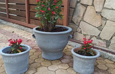 Cactus Home - Foto 24