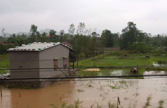 Escursione a Paradise Cave - Foto 1