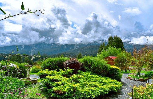 Maydena Mountain Cabins - Foto 47