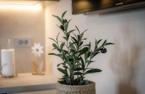 Apartments Olivia & Navy, Šilo - Photo 28