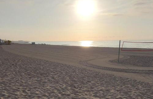 Oasis cerca de Barcelona - Photo 38