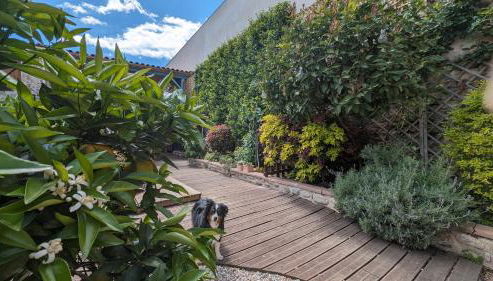 La Maisonnette, ancienne bergerie avec accès au jardin - Foto 5, Garden