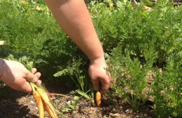 Wine Resort Conti di San Bonifacio - Foto 43