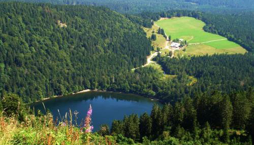 Ferienwohnung Regina - Foto 4