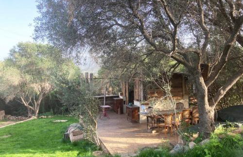 Domaine de la Coletta Maison traditionnelle - Photo 12