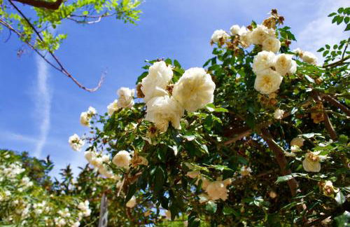 Villa Casa Madre - Foto 55