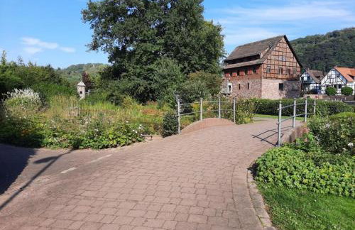 Fewo mit Hund in Bodenwerder - Foto 19