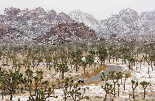 JT Cottage - Foto 19