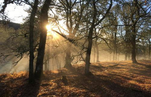 Treetops Bungalow Loch Ness - Foto 37