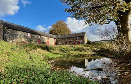 Cambrian Cottages - Charming Countryside Barn - Photo 119