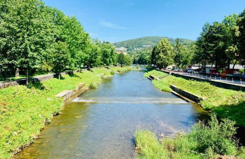 FM Kamesznica - Foto 30