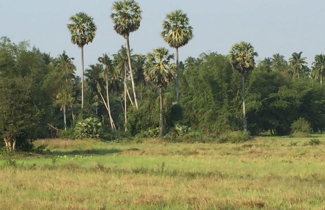 155 SalaCoco - Foto 43