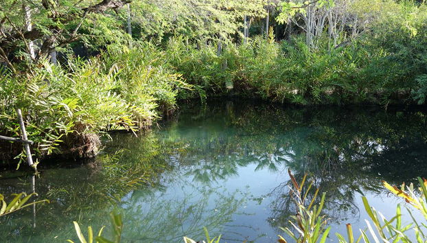 Excursión a las termas El Volcán - Foto 2