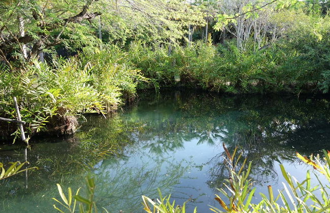 Excursión a las termas El Volcán - Foto 2