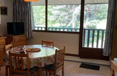 Loue appartement au Mont Dore AUVERGNE - Foto 2