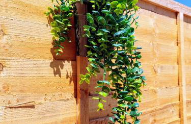 'Serenity in Somerset ' Self Catering House Rental Near Chard , Accomodation for Contract Workers only - Foto 19