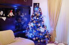 Pavlos House - Foto 4