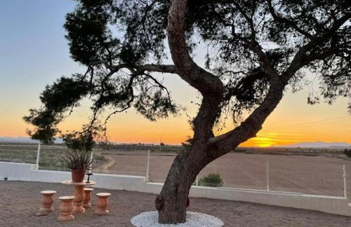 CASA DE CAMPO EL SEÑORITO - Foto 36