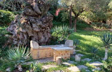 el paradiso - Foto 31