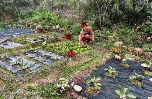 Apartamentos la Jayma del Arte - Foto 21