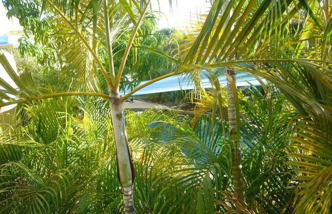 Pacific Sands Holiday Apartments - Foto 23