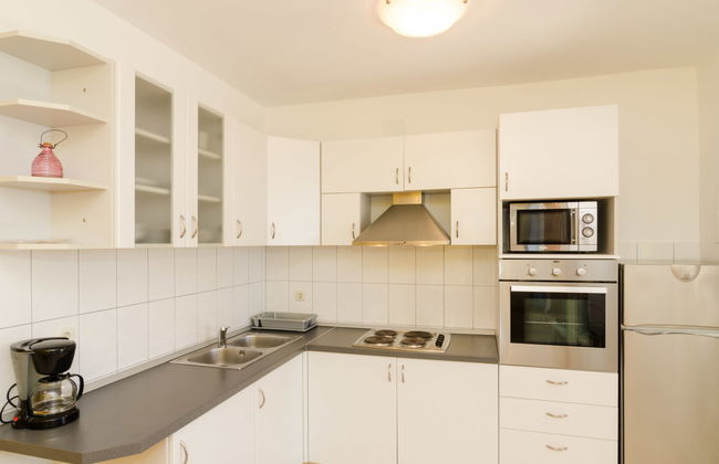 Plavac Mali - Photo 8