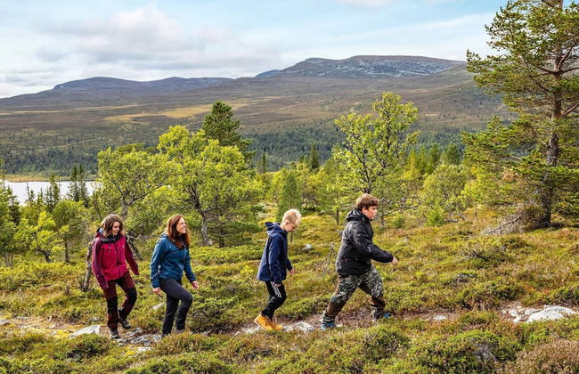 12 Person Holiday Home in Idre-by Traum - Photo 19