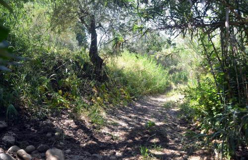 Villino Anna e Pippino - Foto 61