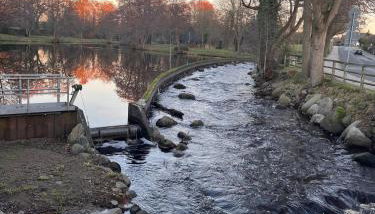 Haus Heidorn - Foto 4