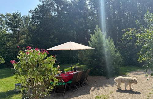 Country house villa near Berlin - Foto 40