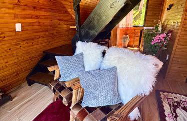 Chalé Aconchego Alfredo Wagner - Photo 14