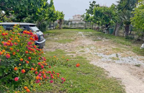 Akrotiri Rooms - Photo 22