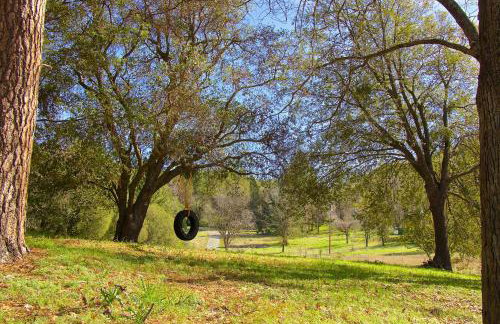 Yosemite Nutter Ranch - Foto 5